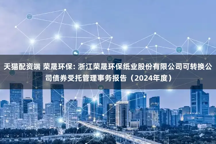 天猫配资端 荣晟环保: 浙江荣晟环保纸业股份有限公司可转换公司债券受托管理事务报告（2024年度）