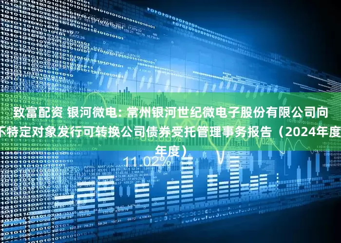 致富配资 银河微电: 常州银河世纪微电子股份有限公司向不特定对象发行可转换公司债券受托管理事务报告（2024年度）