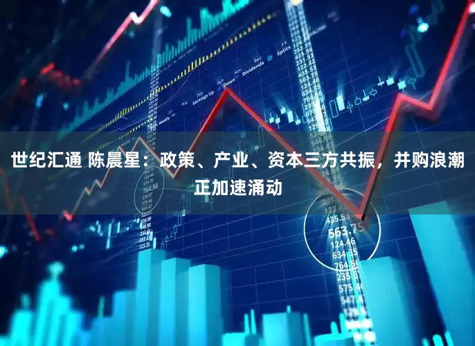 世纪汇通 陈晨星：政策、产业、资本三方共振，并购浪潮正加速涌动